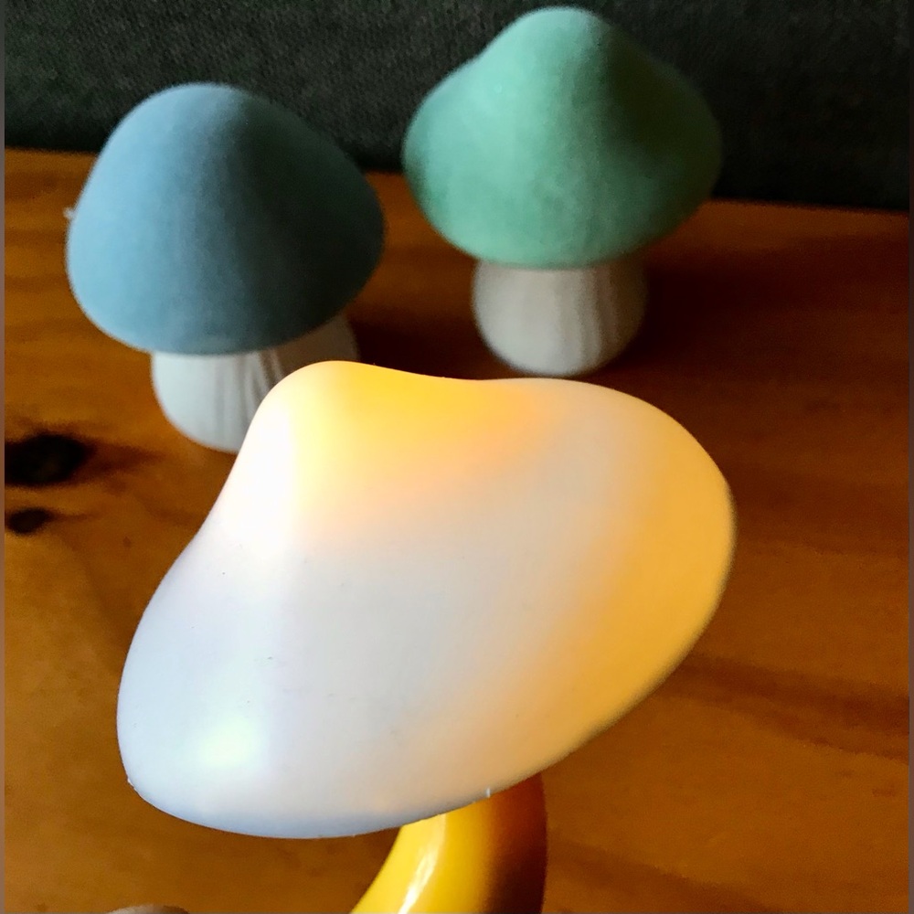 Mushroom Lot Light Detection Nite Lite Night Light & Felted Ceramic Toadstools